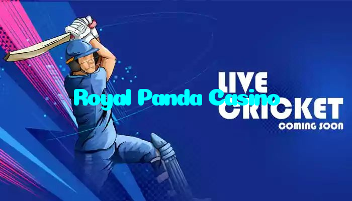 Royal Panda Casino خوش آمدید بونس +600% پیشکش موبائل ایپ کے پروموشن سیکشن میں دکھائی دیتی ہے۔